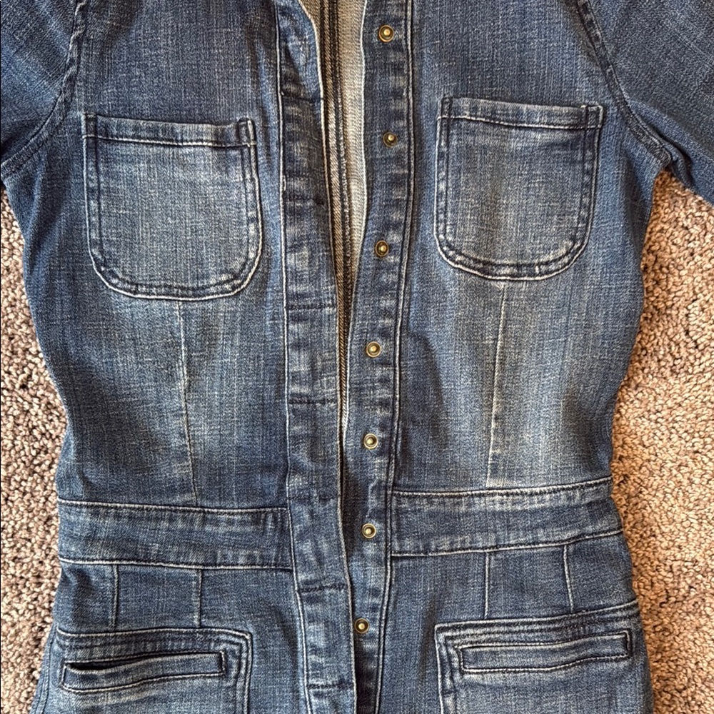 Pistola Blue Denim Jumpsuit - Picture 5 of 6